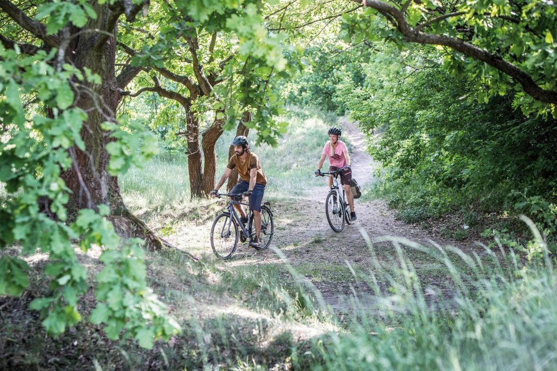 Zwei Radfahrer in der Natur - Diamant-Blog