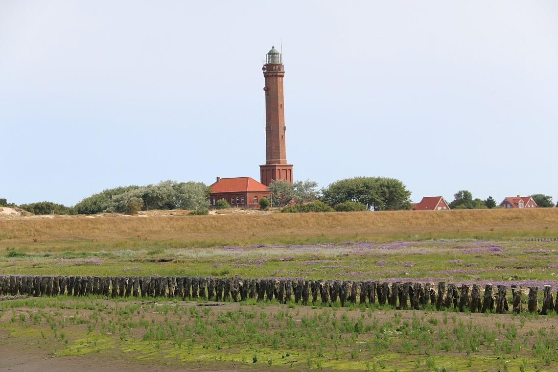 Landschaft auf Norderney - Diamantrad-Blog