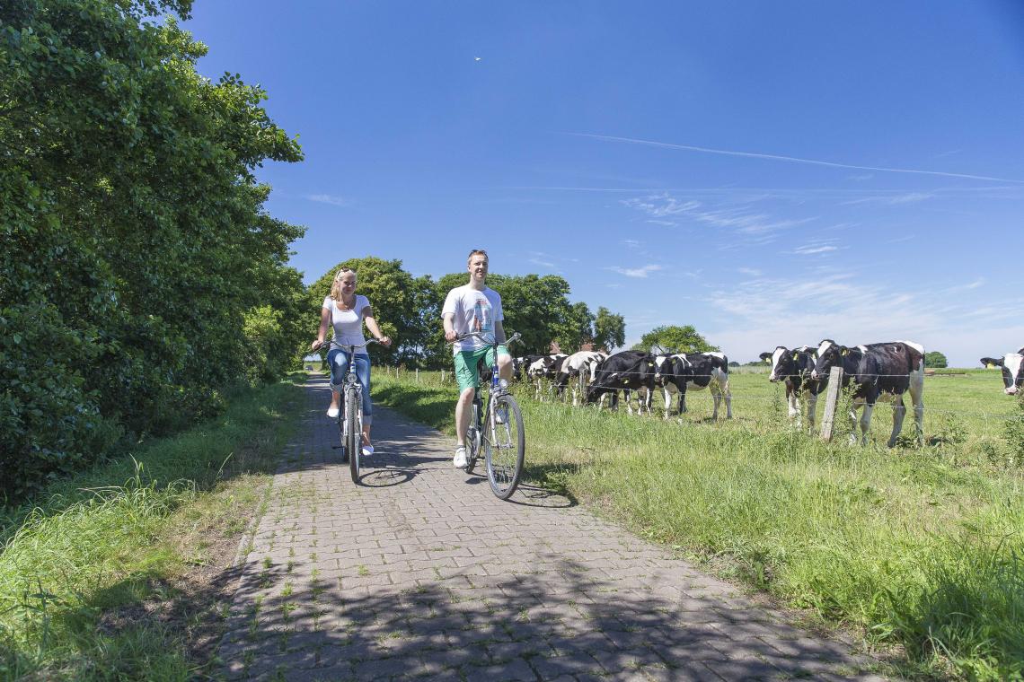 Fahrradfahren in Norden-Norddeich - Diamantrad-Blog