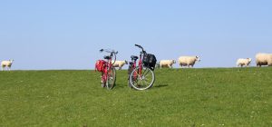 Fahrradfahren in Büsum