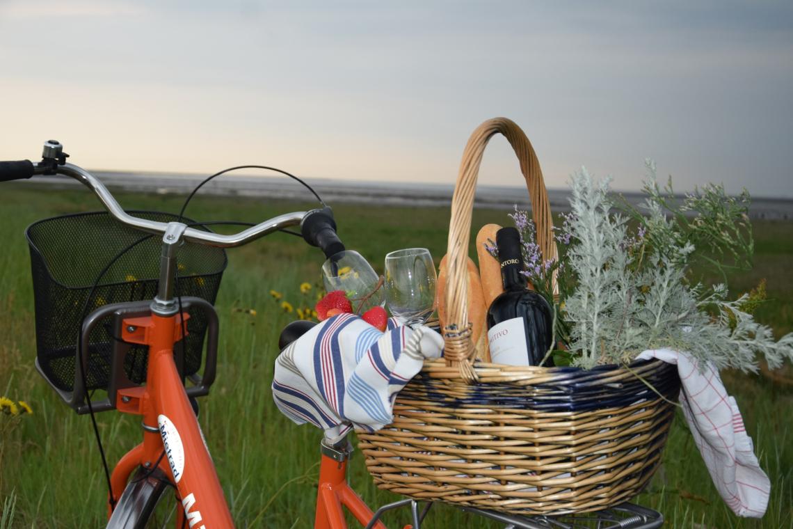 Radfahren in Friedrichskoog - Diamantrad-Blog