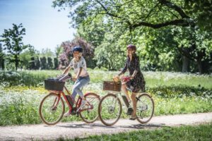 Fahrrad frühjahrsfit machen - Diamantrad