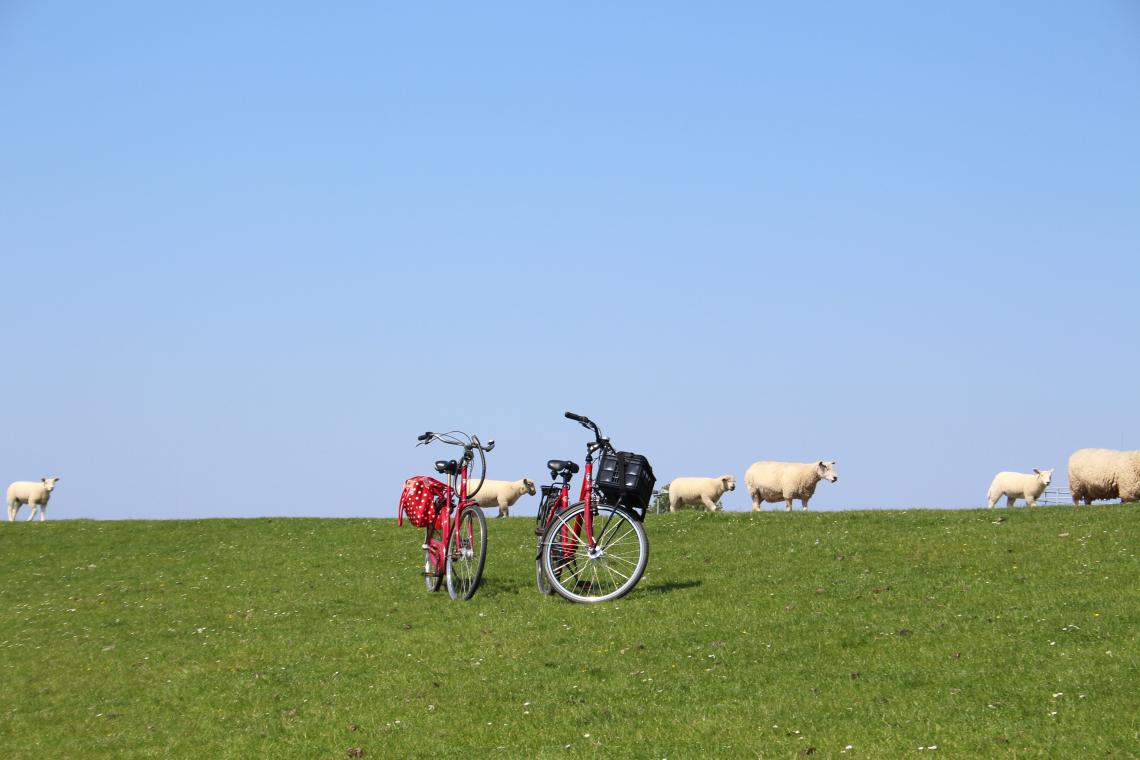 fahrrad büsum