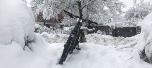 Winter Bike to Work Day - Diamantrad-Blog