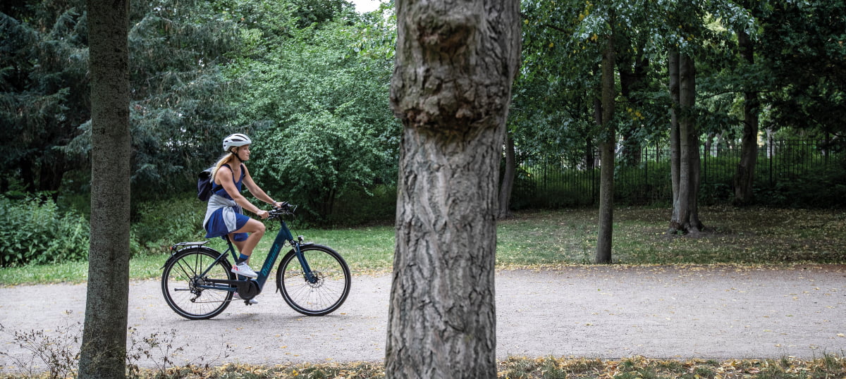E Bike Akkus Faq Diamantrad Fragen Und Antworten 2021